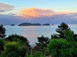 King of the Hill - 6