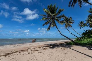 Seaside paradise at Praia do Patacho – 4 suites - 7