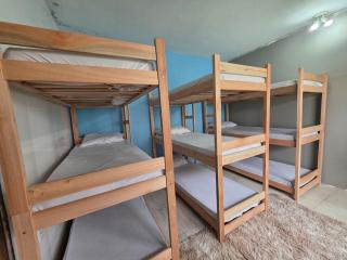 Hostel Papai - Florianópolis - 3