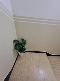 شقق فاخرة بالحبهة - 2