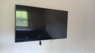 Chalé cachorrinha - 4