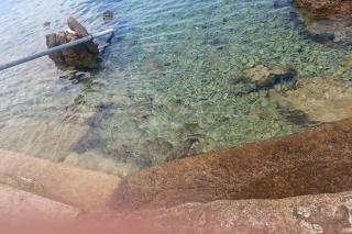 Apartments by the sea Ribarica, Karlobag - 25024 - 6