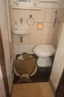 Apartments by the sea Ribarica, Karlobag - 25024 - 1