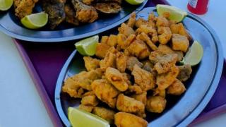 Country Houses with Pool, Fishing - Atlantic Forest -  - 3