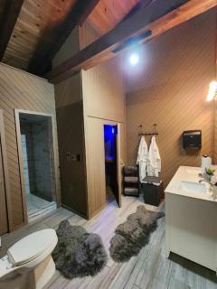 Couples Guesthouse, jacuzzi, sauna, pool - 5