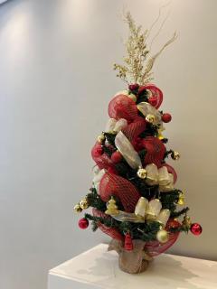 Apartamento na PontaNegra - 8