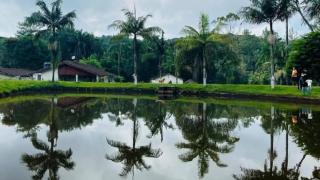 Vila de Casas de Campo Rústica e Aconchegante na Mata Atlântica - 0