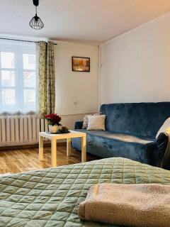 Duży apartament z kuchnią i łazienką w centrum Namysłowa - 9