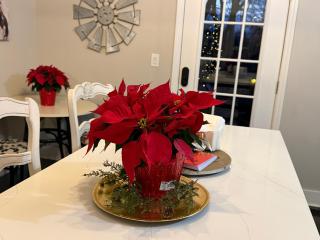 Clayton's 1910 Restored Mill House-near Burlington - 4