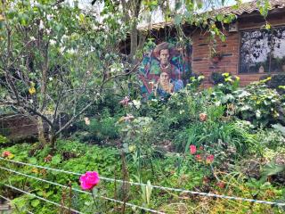 Pakarina Hospedaje Familiar - 7