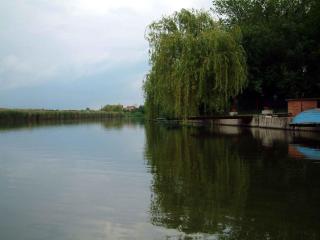 Holiday home in Bekesszentandras 20542 - 7