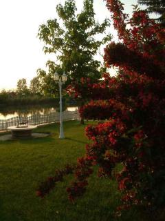 Holiday home in Bekesszentandras 20542 - 4