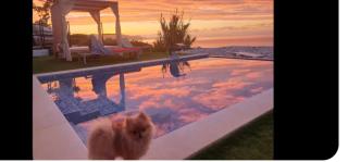 Stelvio ocean Island - 6