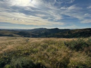Deerview Cabin in Coastal Mataikona - 9