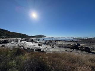 Deerview Cabin in Coastal Mataikona - 7