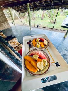 DNA secret palace - 2