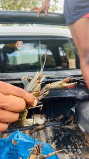 Butternice Farmstead - 9