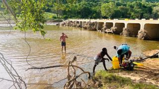 Butternice Farmstead - 4