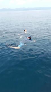 Adefiro homestay - 1