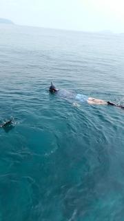 Adefiro homestay - 9