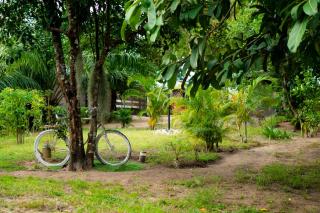 Le Jardin Arhumatic Sambava - 6