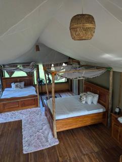 Double G safaris and Camp Mikumi - 9