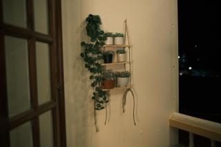 Nas dream homestay Đà Lạt - 7