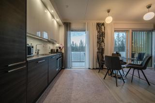 Lomavuokra Alpine Chalets Tunturinlaita B9 - 2