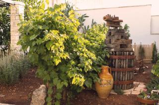Corte Trullo Sovrano B&B - 6