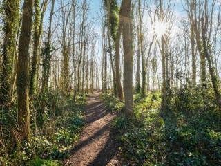 Comfortable holiday home in Noordwijkerhout near the sea - 4