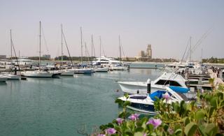 Private Beach 1BR-Yacht Club-Work Space-Pool-Gym - 7
