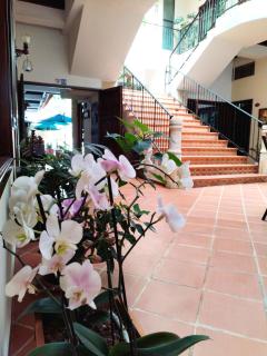 Hotel boutique CM - 3