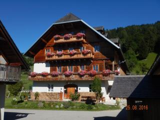 Berghof Thurnergut - Spital am Pyhrn - 0