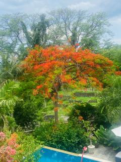 Bali Marina Villa's - 3