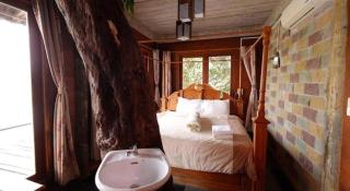 P&P Coffee & Resort Maesariang - 9