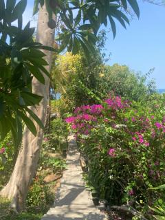 Bali Marina Villa's - 5