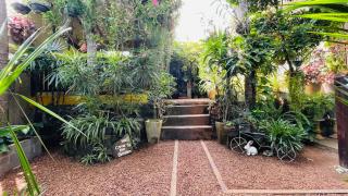 Bouganvilla House - 4