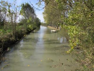 Gîte Nénuphar - Gîtes Au Bas Marais - 1
