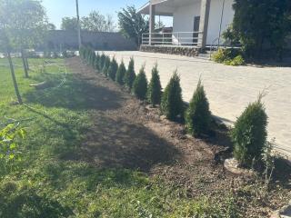 Garden Guesthouse - 3