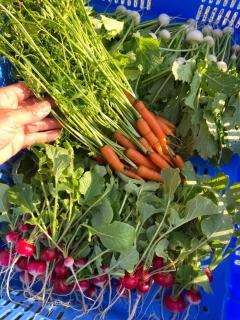 稲花 TŌKA Stay&Resot - 8