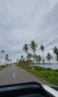 SurfN Tides by BHoomiKA - 5