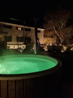 Ansitz Thierburg Suites - Merano - 9