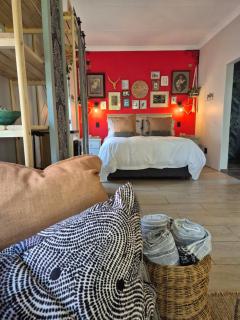 Hibiscus at Bougainvillea House - 9