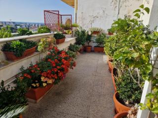B&B GANAJ La terrazza di Ganaj BARI - Bari - 4