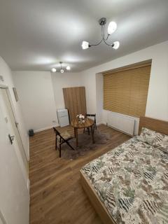 Comfort Studio In Wembley - London - 5