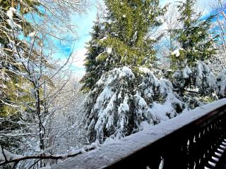 Charming sunny duplex - 4