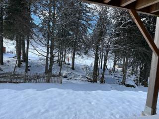 Chalet sur les pistes du Lioran, 8pers - 6