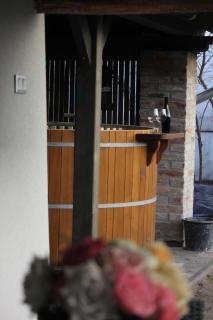 Borka-land Vendégház - 5