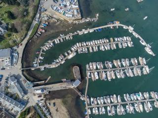 Wyvern – Beautiful & Spacious 4-Bedroom Home with Parking & Gardens - 5