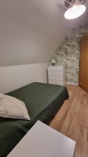 Moje Mazury Jeleń - 5